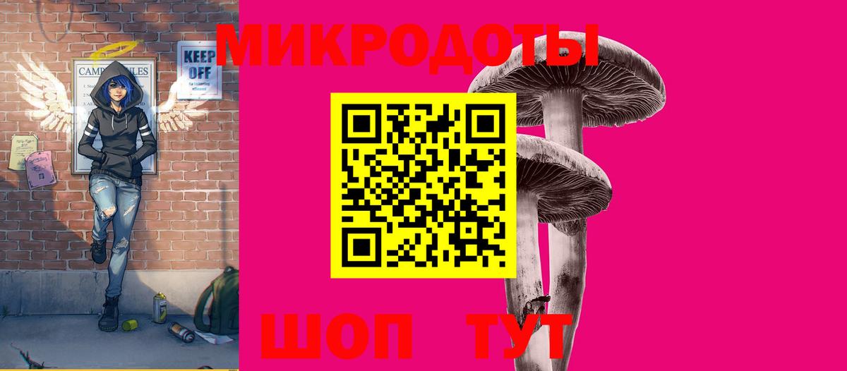 Жигулёвск  хочу   Вход с VPN  Псилоцибиновые грибы Psilocybe 